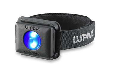 At the wrist